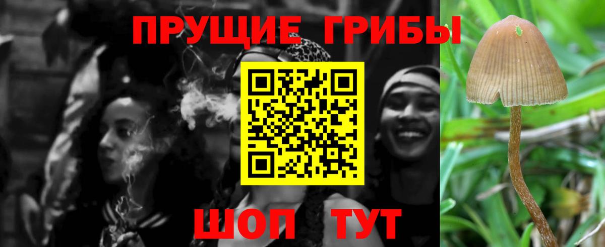 Псилоцибиновые грибы Cubensis  Псилоцибиновые грибы Magic Shrooms  Вход с VPN  Нижний Тагил 
